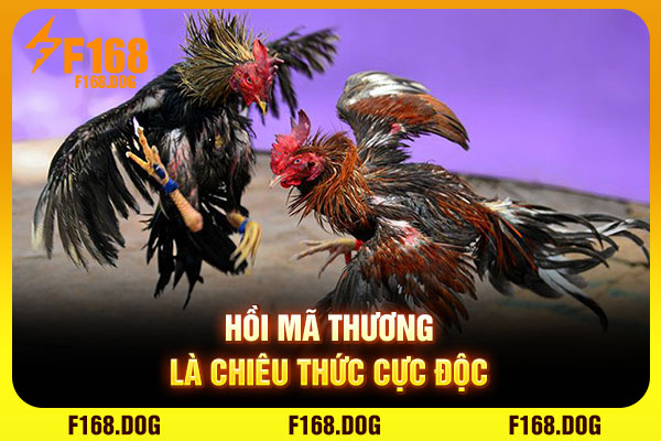 Hồi mã thương là chiêu thức cực độc