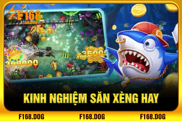 Kinh nghiệm săn xèng hay Kinh nghiệm săn xèng hay