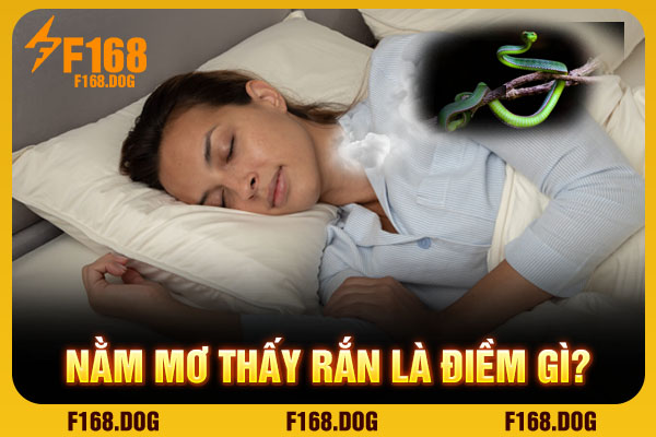Nằm mơ thấy rắn là điềm gì? Nằm mơ thấy rắn là điềm gì?
