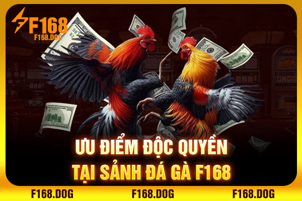 Ưu điểm độc quyền tại sảnh đá gà F168 Ưu điểm độc quyền tại sảnh đá gà F168
